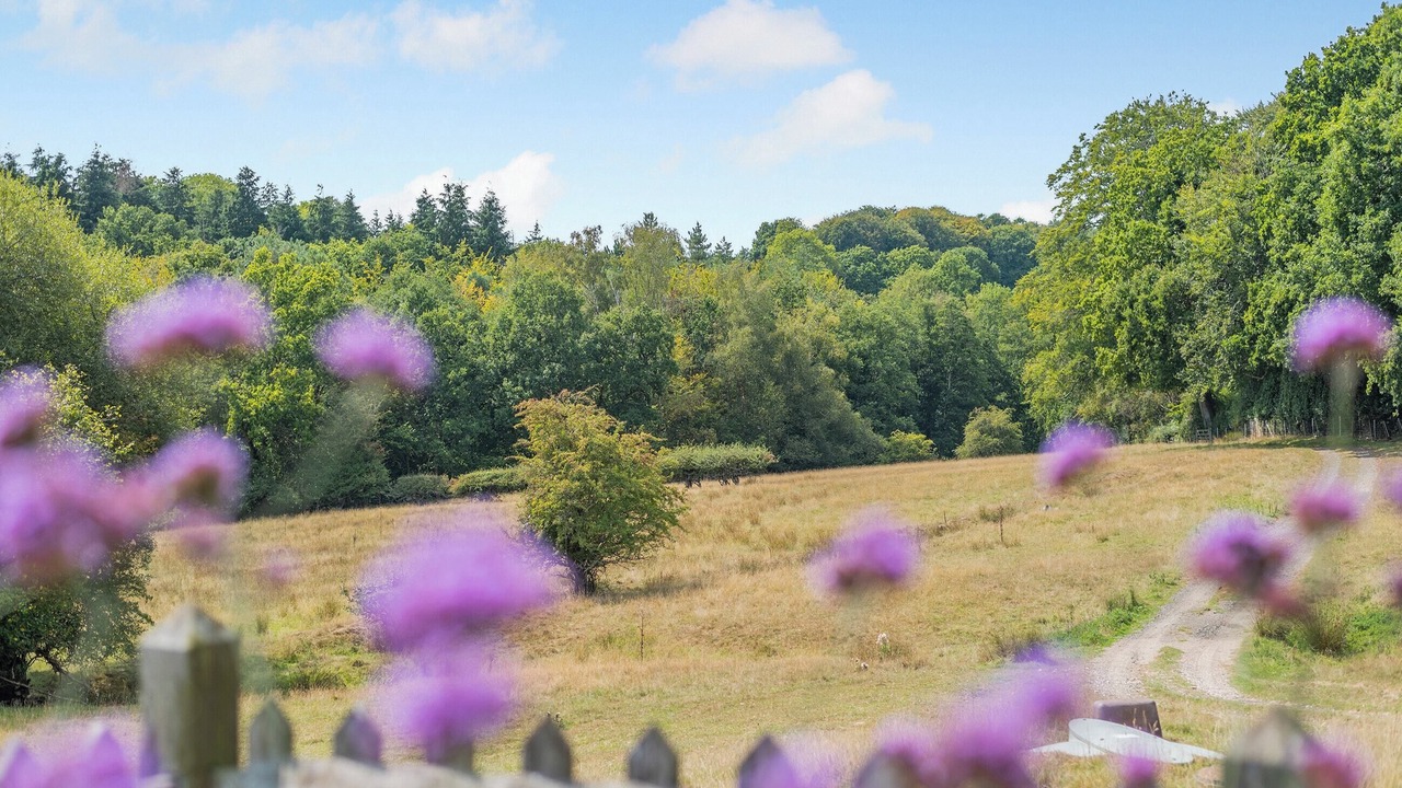 Photo of Others in Robertsbridge