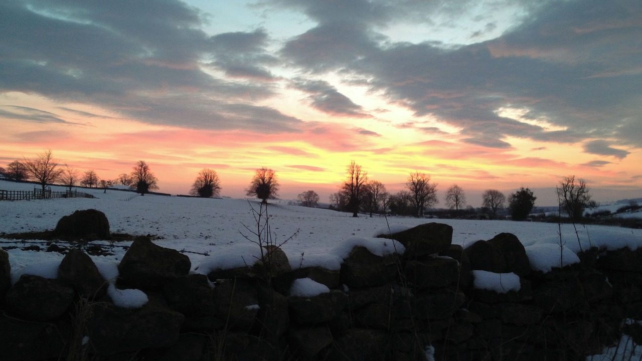 Photo of Others in Richmond