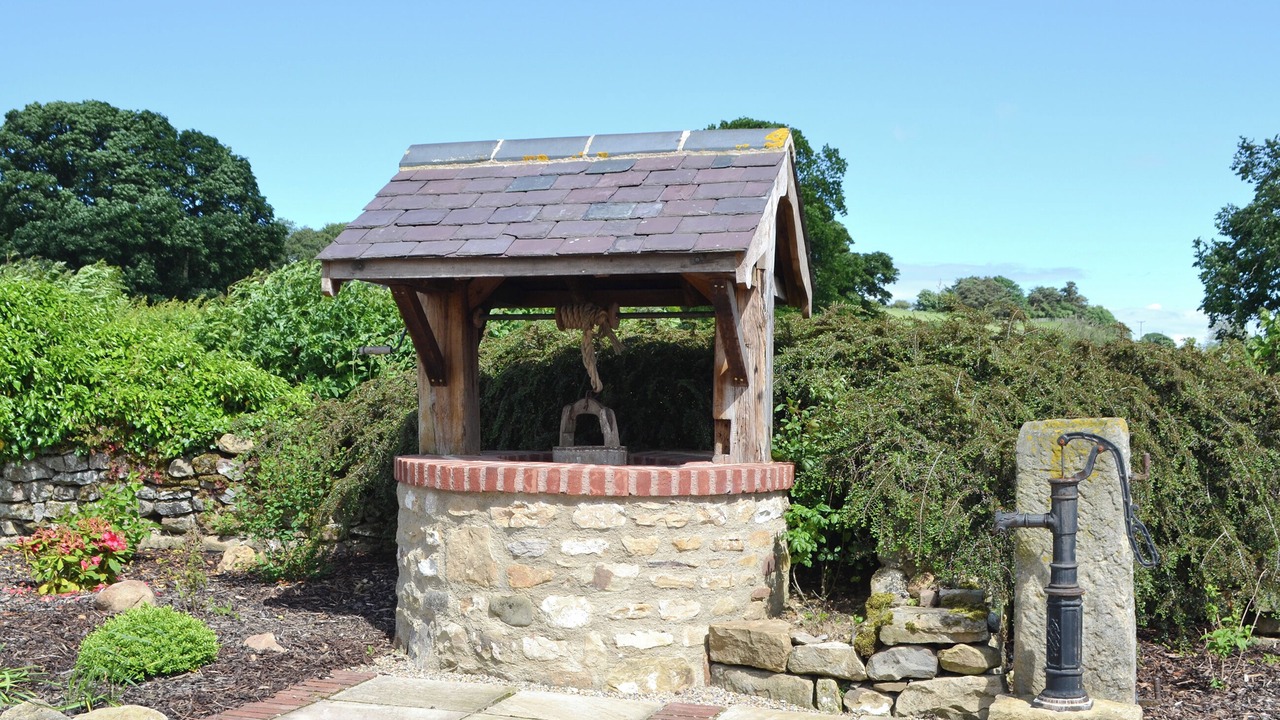 Photo of Others in Richmond