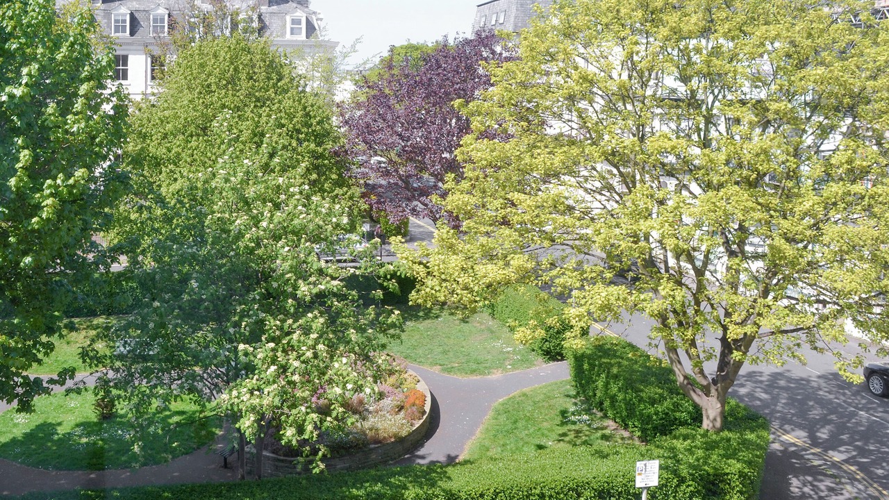 Photo of Others in South Cliff