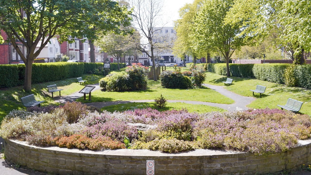 Photo of Others in South Cliff