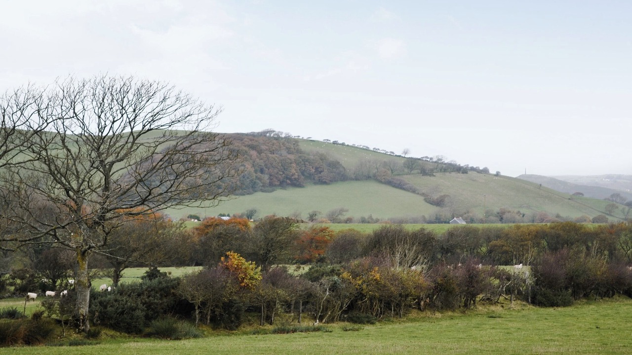 Photo of Others in Chancery