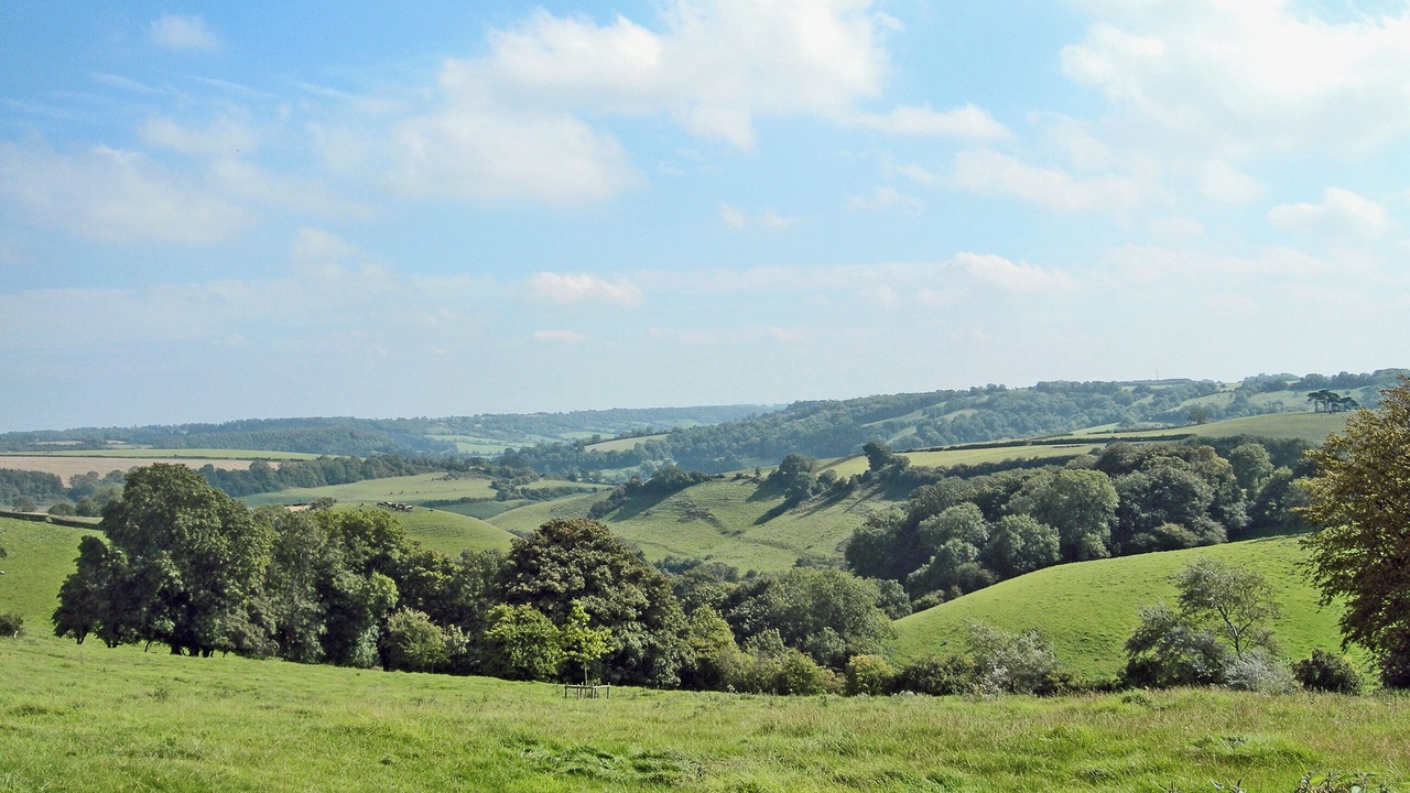 Photo of Others in Upton Cheyney