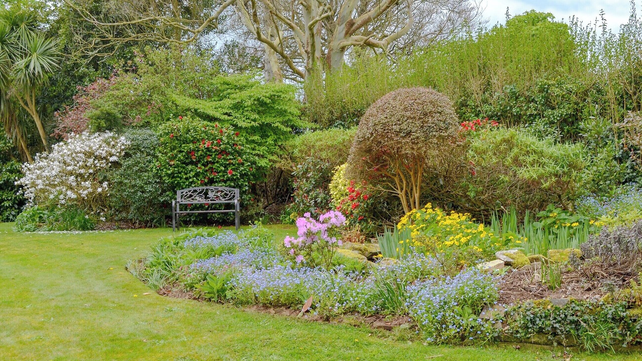 Photo of Others in Fowey