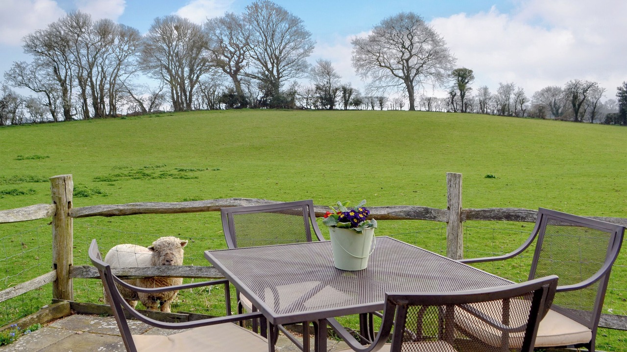 Photo of Others in Hooe