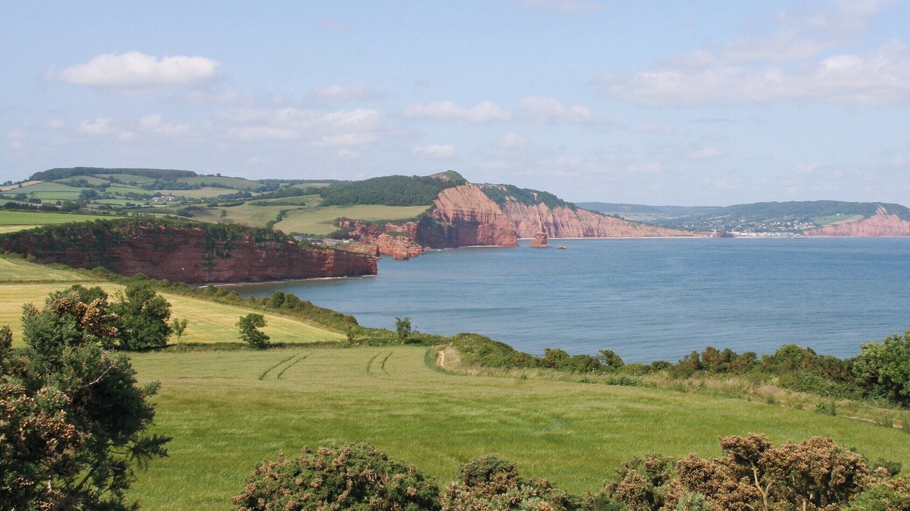 Photo of Others in Otterton