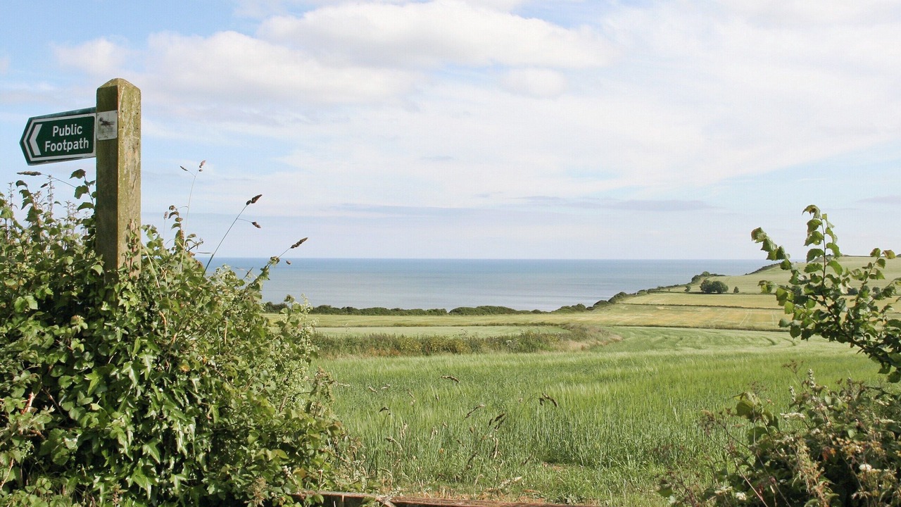 Photo of Others in Otterton