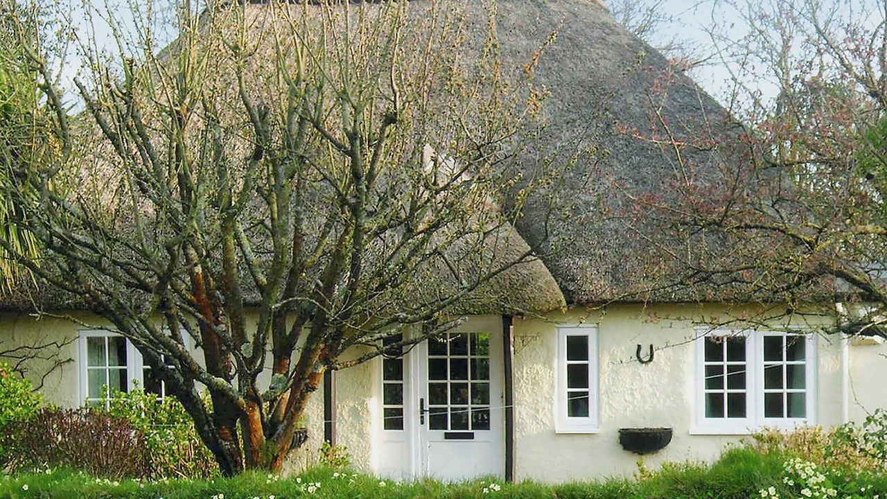 Photo of Others in Otterton