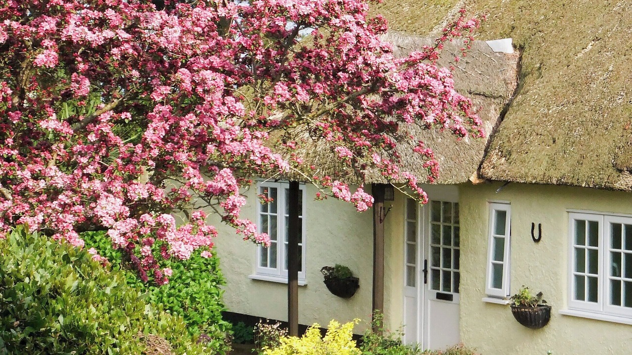 Photo of Outdoor in Otterton