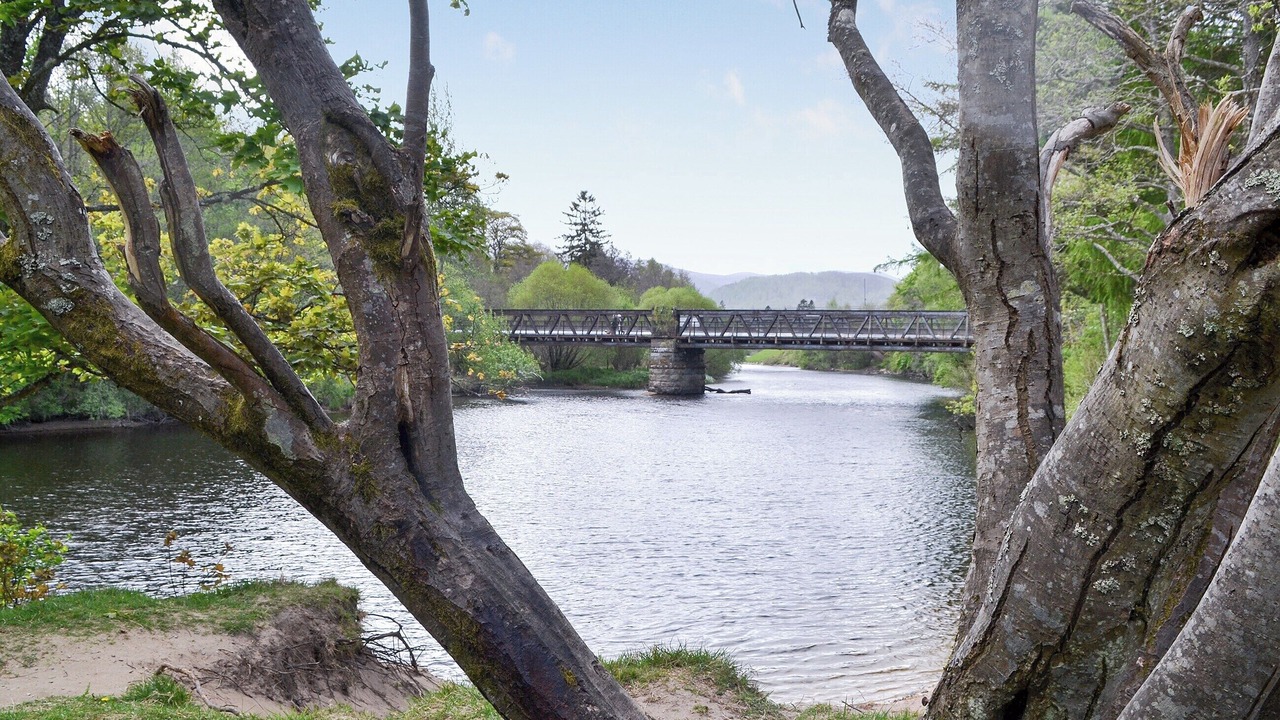 Photo of Others in Aviemore