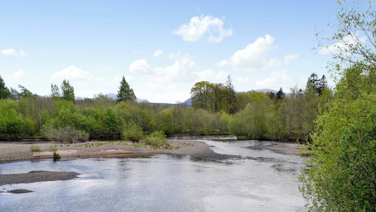 Photo of Others in Aviemore