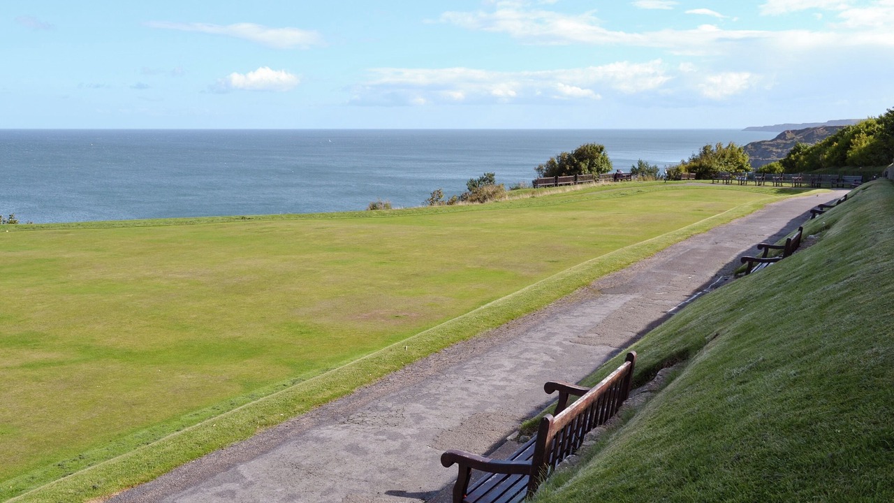 Photo of Others in South Cliff