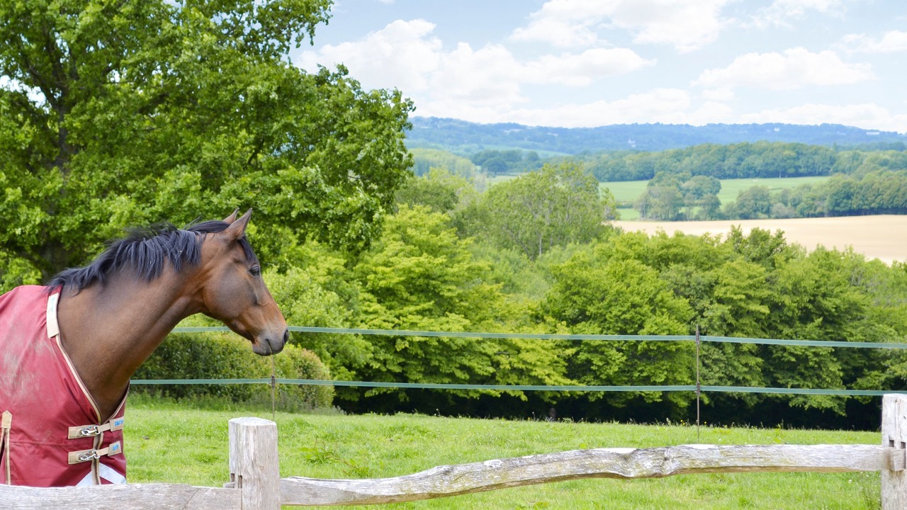 Photo of Others in Burwash