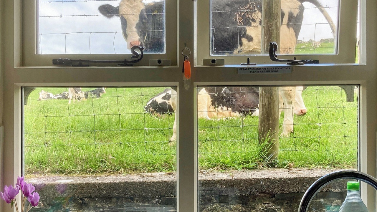 Photo of Others in Austwick