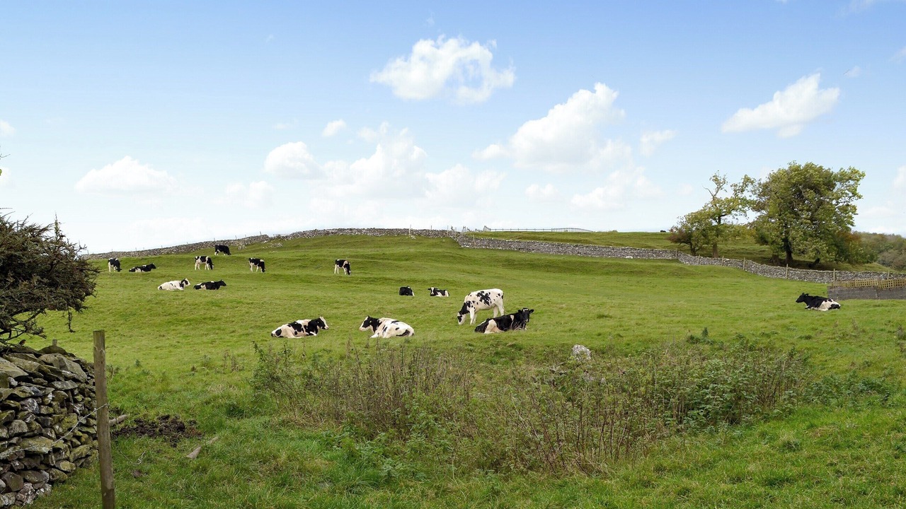 Photo of Others in Austwick