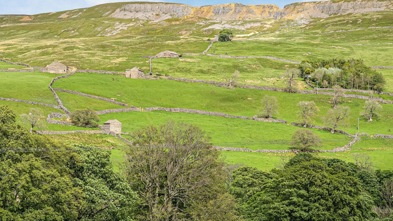 Photo of Others in Fremington