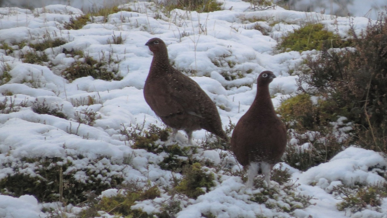 Photo of Others in Fremington