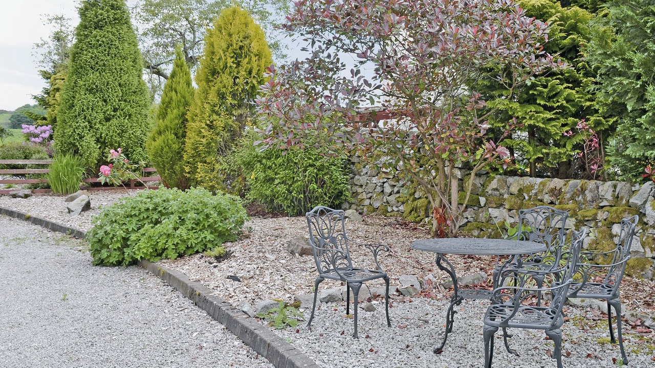 Photo of Others in Castle Douglas