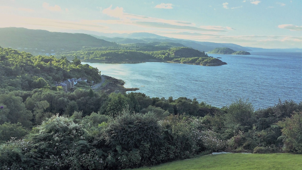 Photo of Others in Tarbert