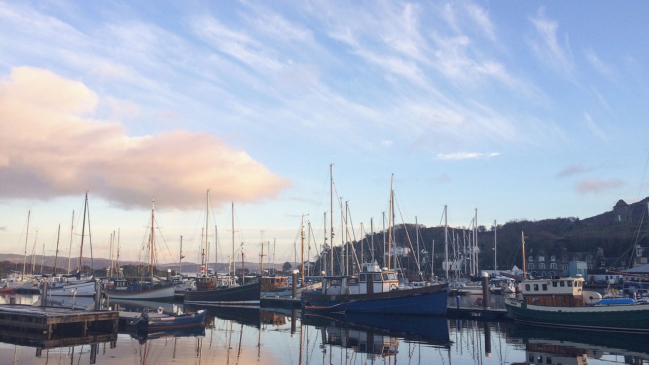 Photo of Others in Tarbert