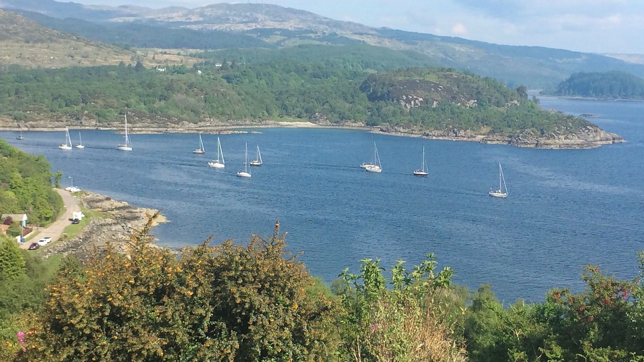 Photo of Others in Tarbert