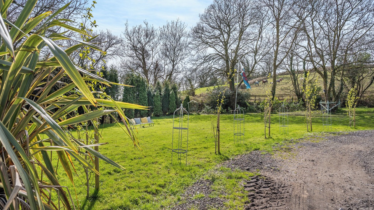 Photo of Outdoor in Gowerton