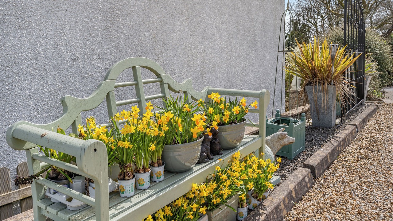 Photo of Outdoor in Gowerton