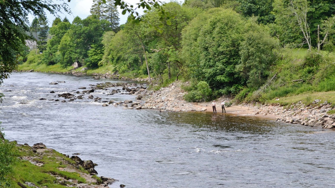 Photo of Others in Banchory