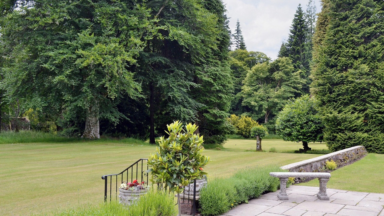 Photo of Others in Banchory