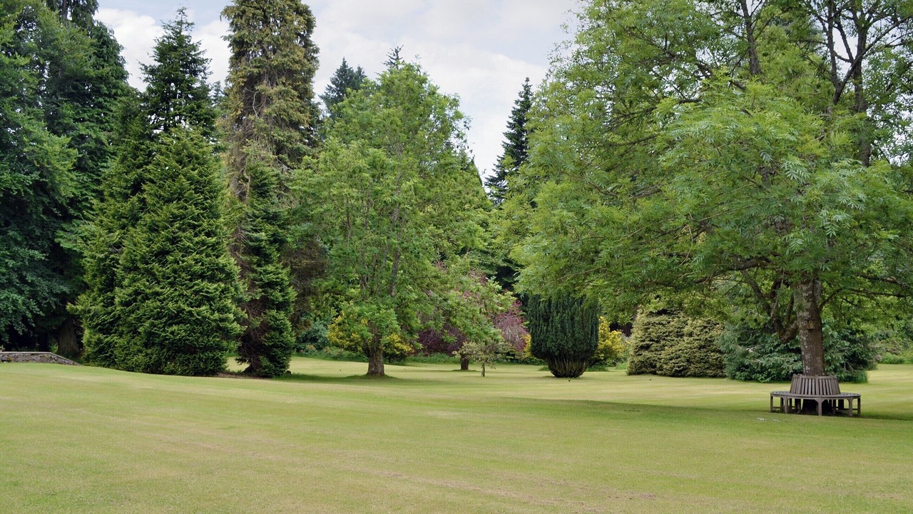 Photo of Others in Banchory