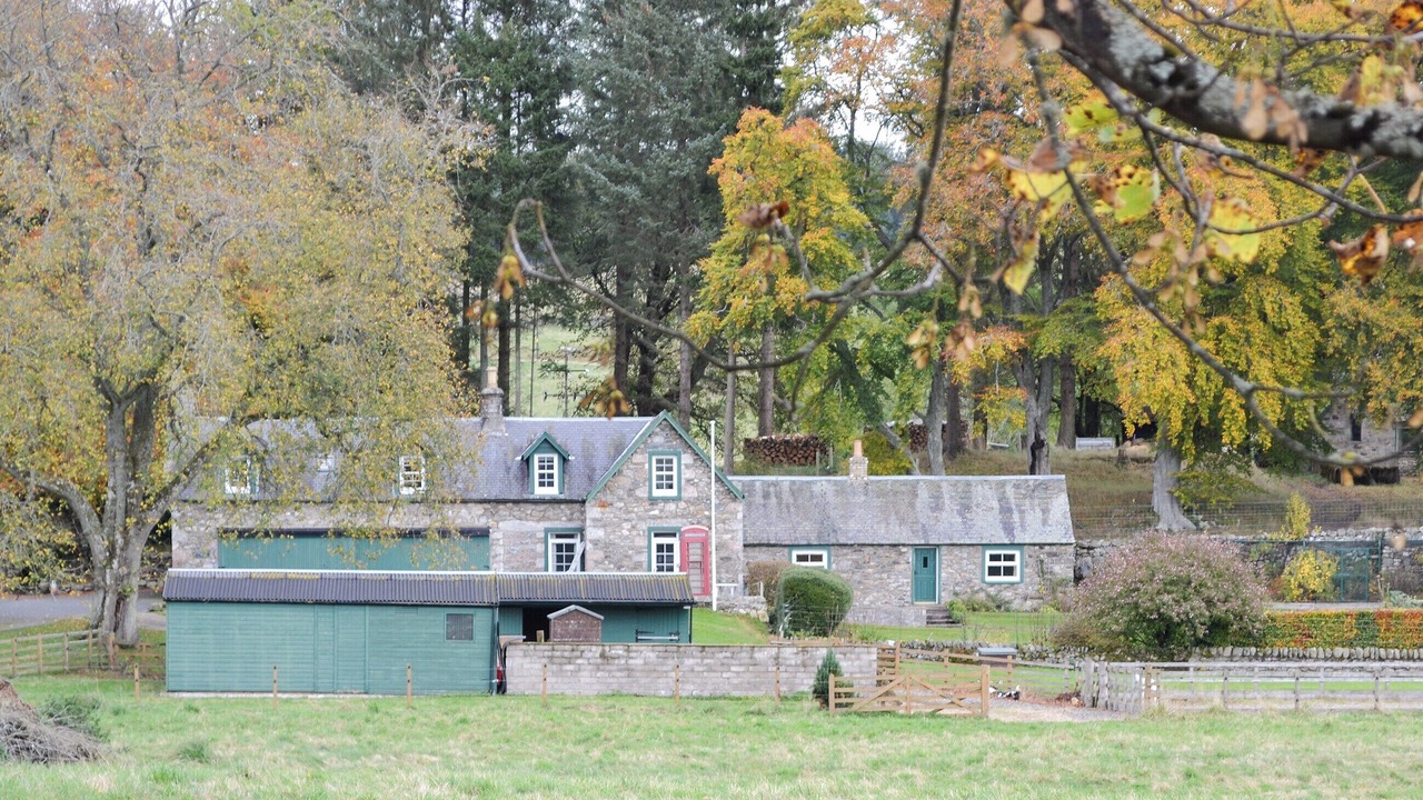 Photo of Others in Blairgowrie