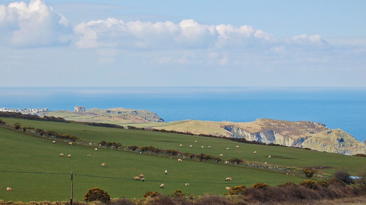 Photo of Others in Helstone