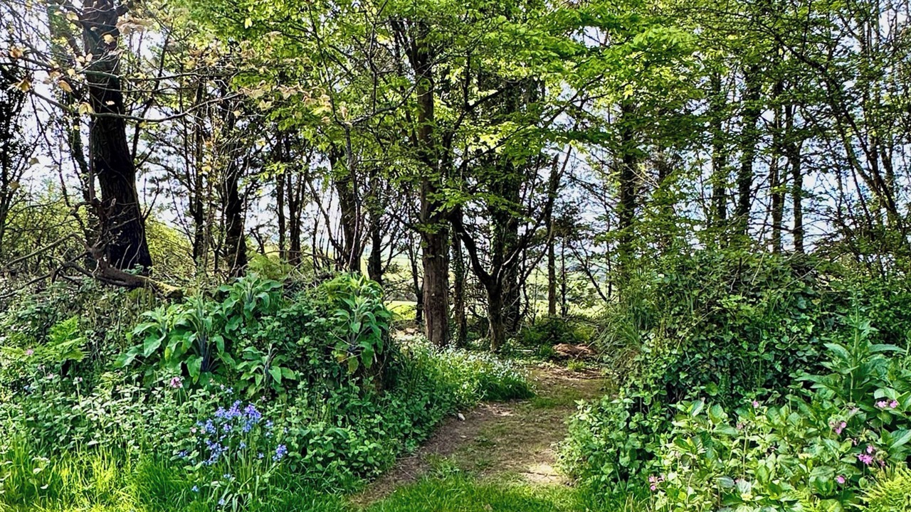 Photo of Others in Hartland