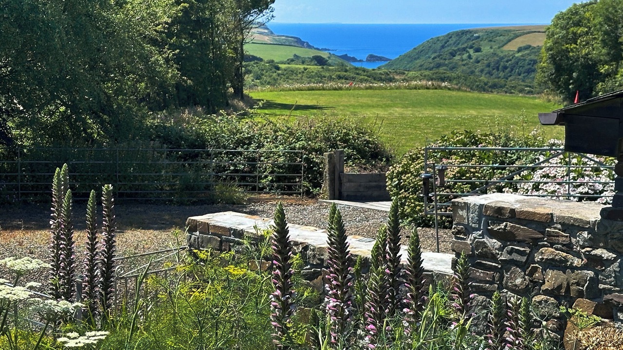 Photo of Others in Hartland