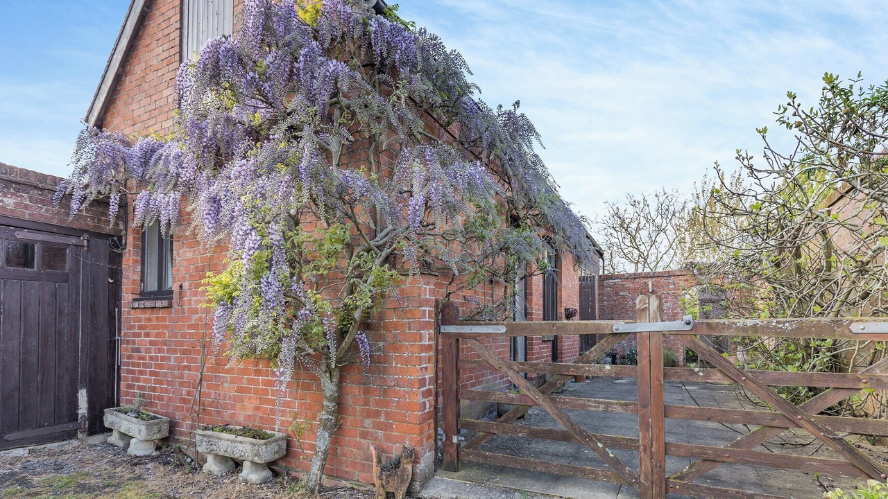 Photo of Outdoor in Willesborough