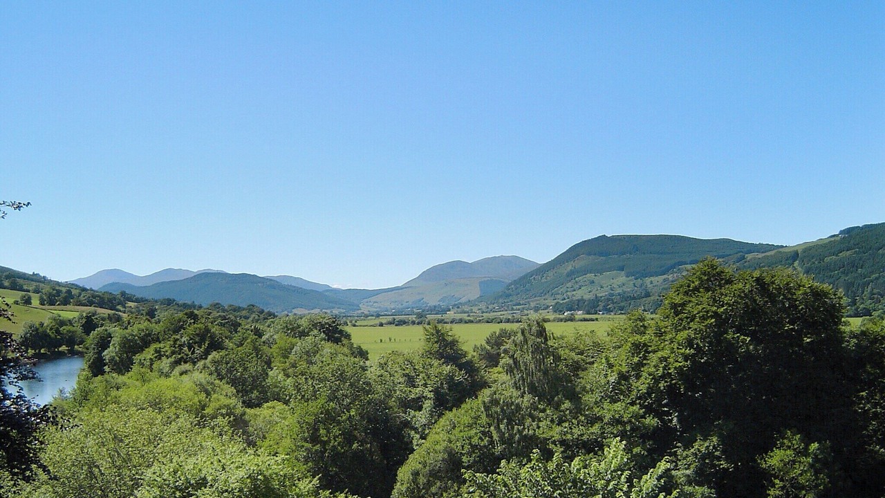 Photo of Others in Weem