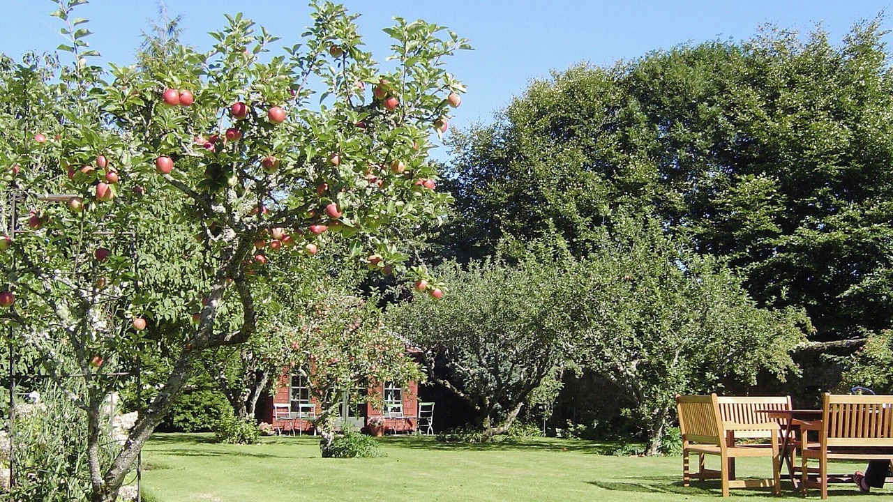 Photo of Outdoor in Weem