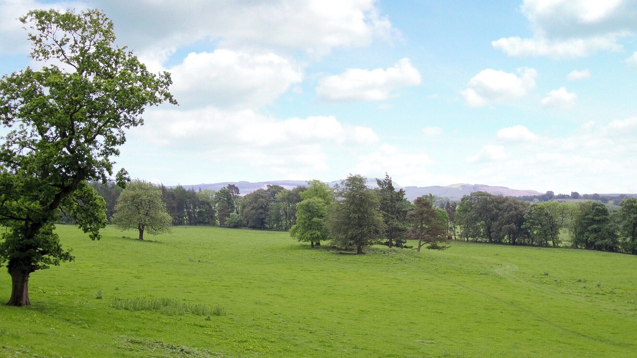 Photo of Others in Kinross