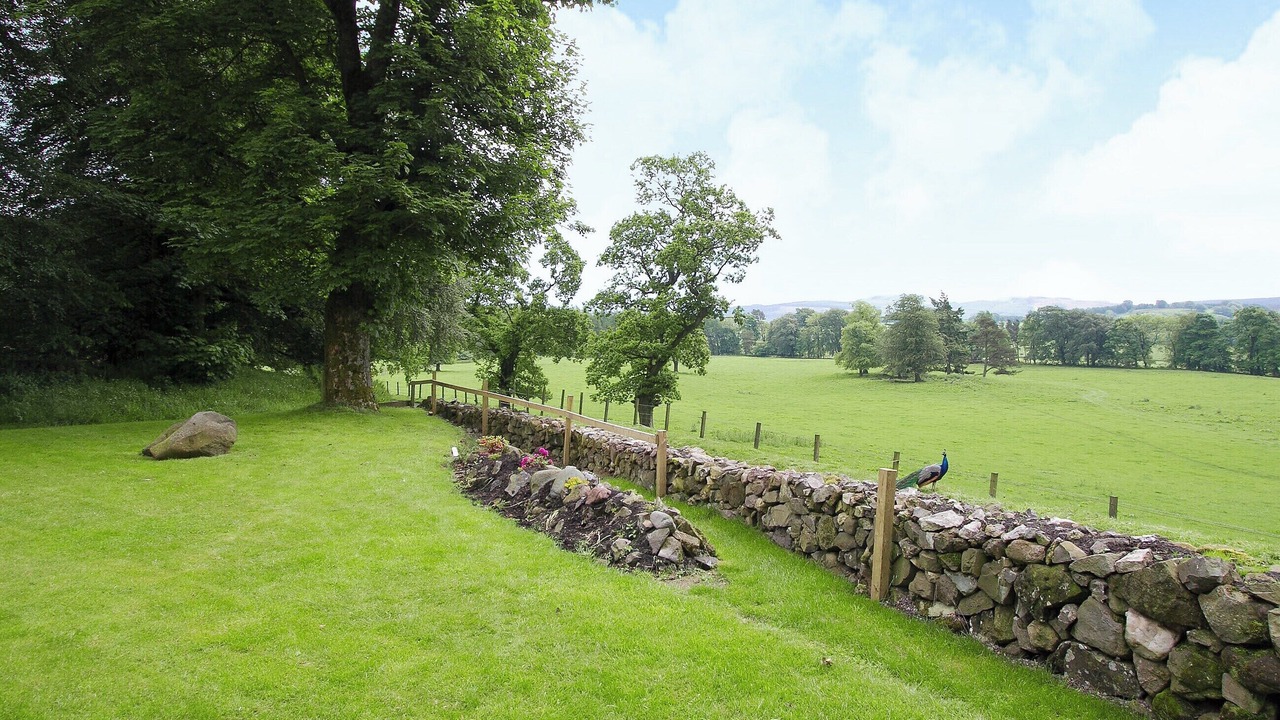 Photo of Outdoor in Kinross