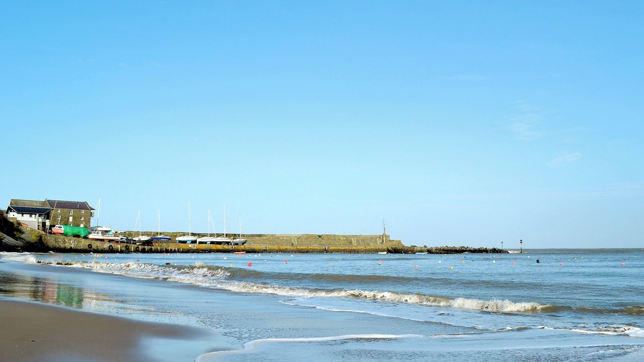 Photo of Others in New Quay