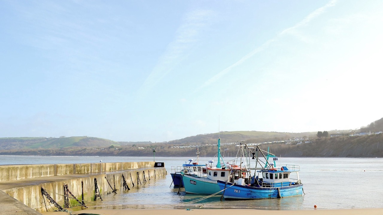 Photo of Others in New Quay
