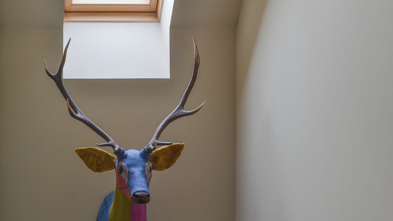 Photo of Others in Aviemore