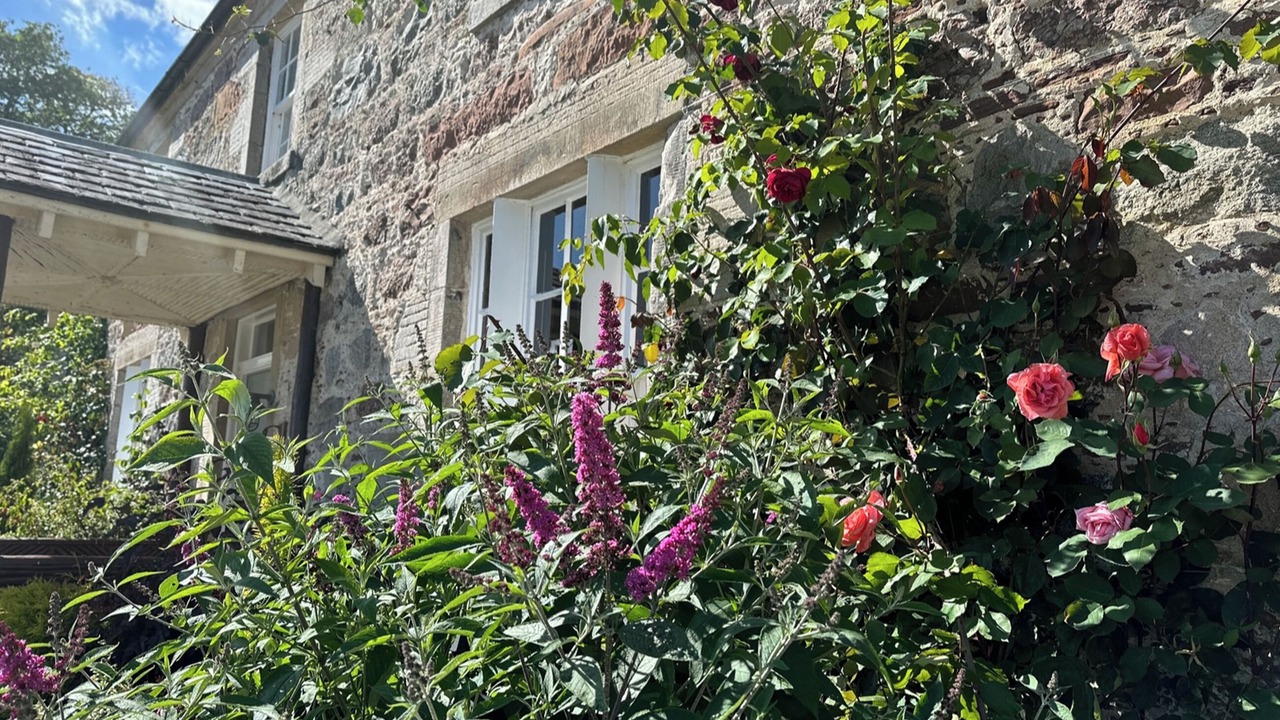 Photo of Outdoor in Golspie