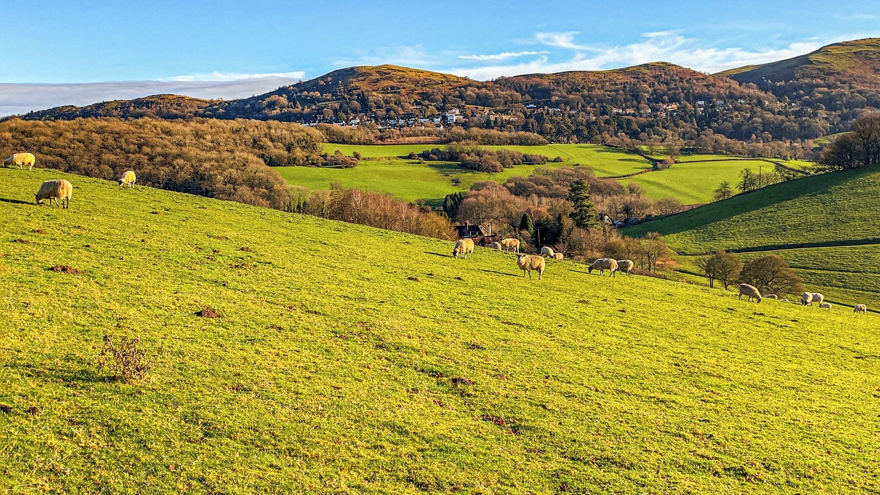 Photo of Others in Mathon