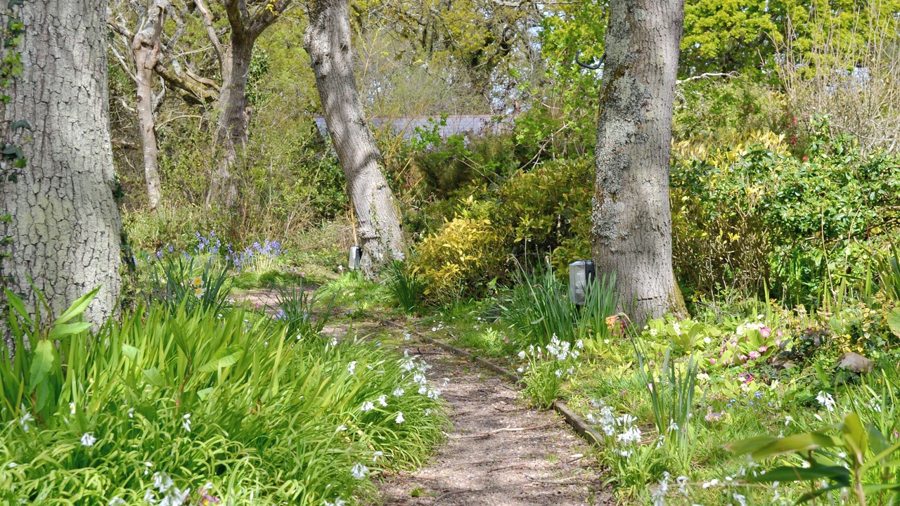 Photo of Others in Yelland