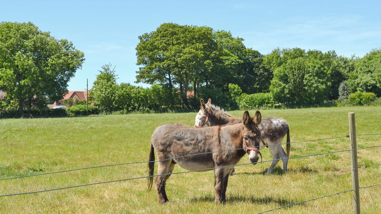 Photo of Others in Sewerby