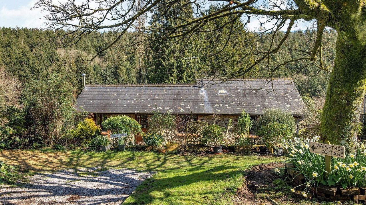 Photo of Outdoor in Sidmouth