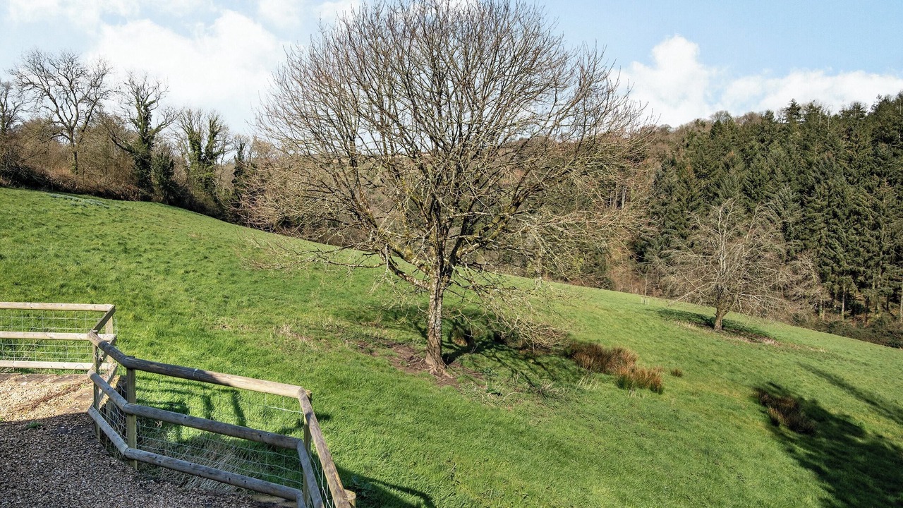 Photo of Others in Sidmouth