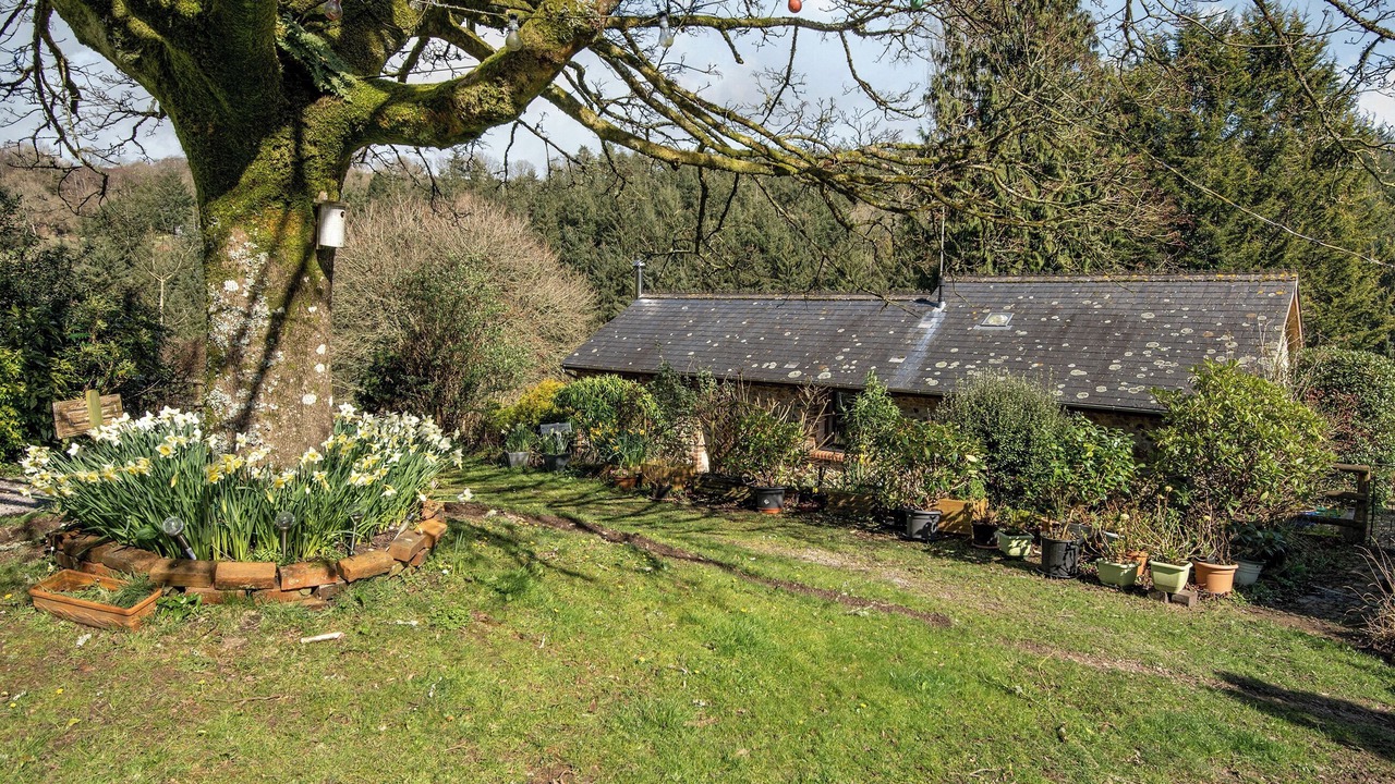 Photo of Outdoor in Sidmouth