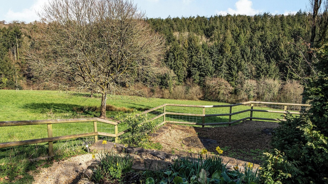 Photo of Others in Sidmouth